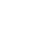 World Stroke Organization